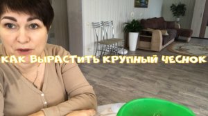 КАК ВЫРАСТИТЬ КРУПНЫЙ ЧЕСНОК Что для этого надо сделать.mp4