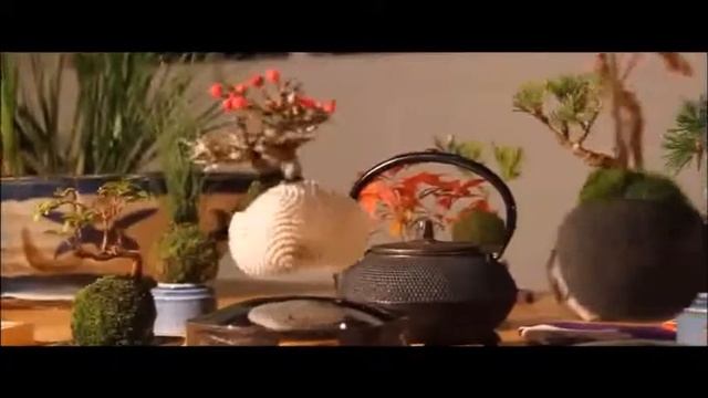 Левитирующее растение смотреть онлайн