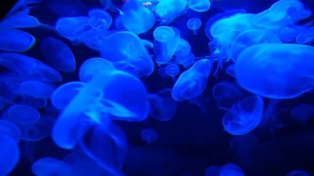 Relaxing music for sleep - Успокаивающая музыка для глубокого сна. смотреть онлайн