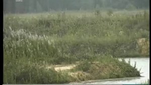 В Миассе утонул подросток