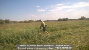 Сенокос+триммер+заготовка сено!