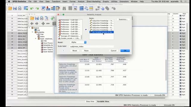 SPSS How to Create an Index Variable смотреть онлайн