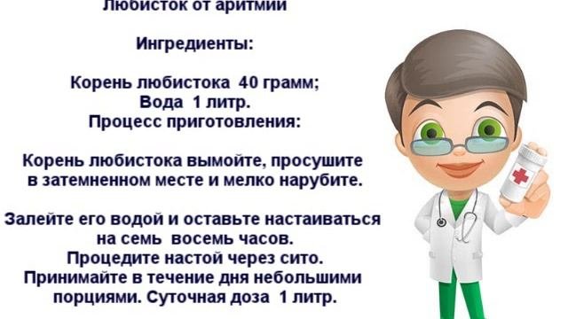 Трава любисток лечебные свойства, рецепты и противопоказания