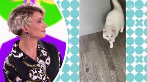 Софья,скажи УР-А-А