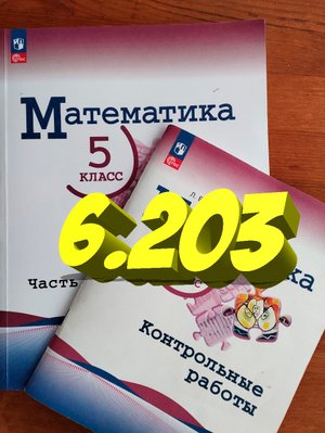 математика 5 класс номер 6.203