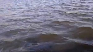 Tohatsu 9.8 обкатка