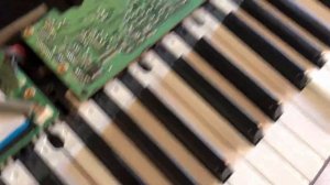 Pеставрация цифрового пианино Casio Privia PX-100