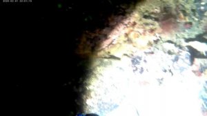 Дайвинг на севере. Лиинахамари, май 2022.mp4