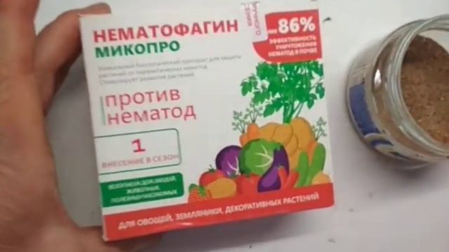 сражаемся с нематодой