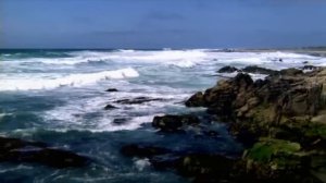 ПАРАМАРИБО