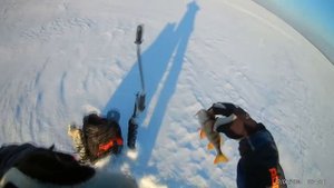 Ловля окуня на зимние блесны ручной работы