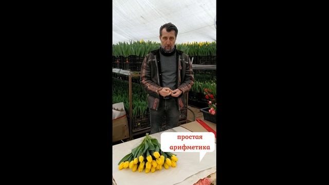 Как заработать на 8 марта? Бизнес на тюльпанах.
