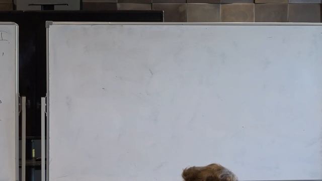 Левков Д.Г. Энтропия черной дыры