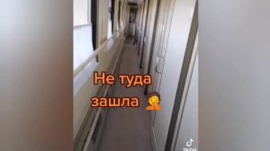 Путешествие с доберманом. Часть 1 (нарезка)