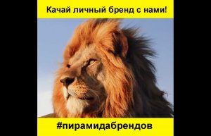 ?Приглашаем экспертов в наше комьюнити! #пирамидабрендов