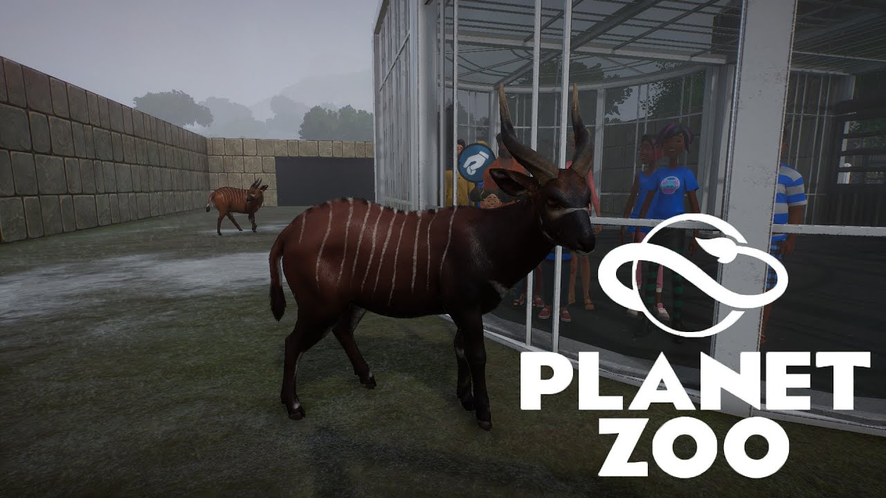 Planet Zoo S1 E13 - Бонго