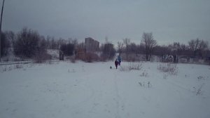 ДЖЕК РАССЕЛ .  ЩЕНОК ПЕРВЫЙ РАЗ БЕЗ ПОВОДКА!!!!! Прогулка зимой.