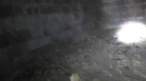 Суровый коп 2021 в заброшке под полом. Поиск монет. Самые лучшие, необычные и интересные факты