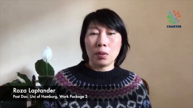 Roza Laptander, CHARTER Work Package 3 Post Doc смотреть онлайн