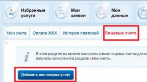 Оплата за электричество через портал госуслуг