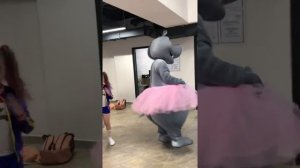 Бегемотиха Глория - поздравление с Днем Рождения