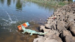 Крокодил дерется со змеями