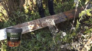 ТЕСТ АНТИСЕПТИКОВ ЧАСТЬ 2 ДОРОГИЕ ПРОТИВ ДЕШЁВОК, ЗАЩИТА СРУБА ДОМА  ОТ СИНЕВЫ, ГРИБКА И ПЛЕСЕНИ.