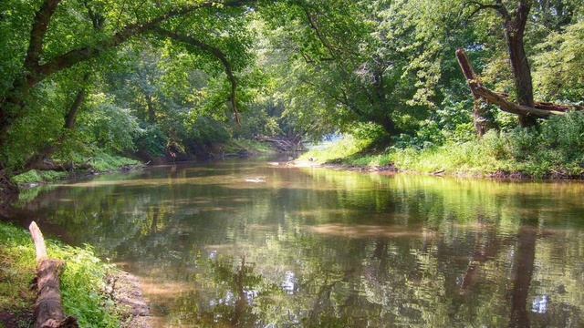 Медитация расслабление (Река) смотреть онлайн
