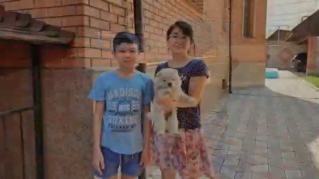 наш маленький щенок Чау- Чау смотреть онлайн