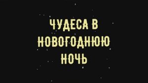 Чудеса в новогоднюю ночь