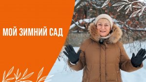 МОЙ ЗИМНИЙ САД / РАСТЕНИЯ ДЛЯ САДА ЗИМОЙ