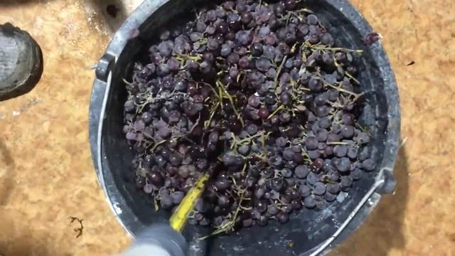 Как раздавить виноград для вина. Дробилка своими руками. смотреть онлайн
