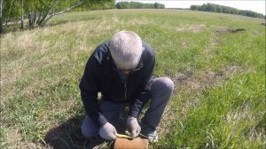 Выживание! У каждого свой способ. Нашел гнезда с яйцами!
