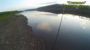 Сетка Павловского от комаров на рыбалке Первое испытание