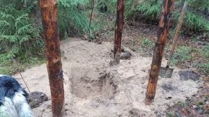 Ура, опять стройка! В этой ИЗБЕ можно жить всю зиму! DIY. Один в лесу.