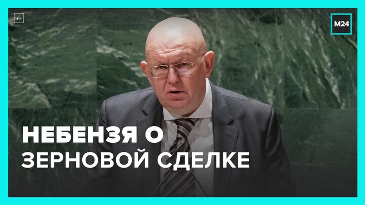 Россия примет собственные меры по контролю судов с зерном в Черном море – Москва 24