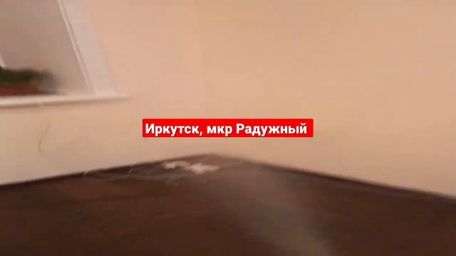 Качественная обработка оттараканов, клопов, клещей. ?Гарантия по договору ?✔️БЕЗОПАСНО! смотреть онлайн