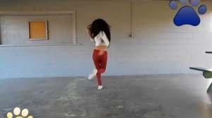 I Like to Move it Move it Madagascar Dance || Orance Cat Music Videos
