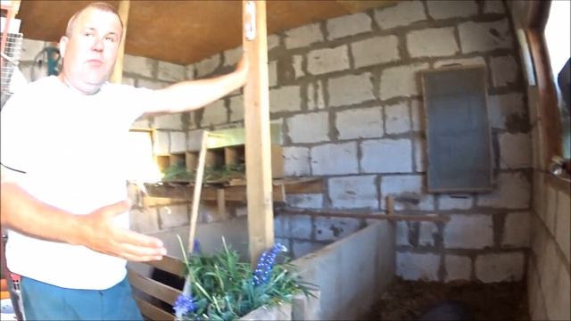 Глубокая подстилка для свиней, бактерии