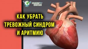 Как избавиться от тревожного синдрома, аритмии и панических атак. Причины и устранение. Руденко В.В.