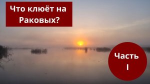 #51 #спиннинг   Что клюёт на Раковых? Часть 1