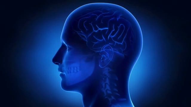 Бинауральные ритмы для мозговой активности