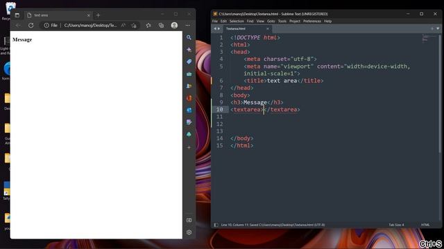 TextArea HTML (WebsiteDevelopment v11)
