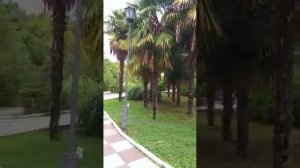 Санаторий "Тихий Дон" Лазаревское.