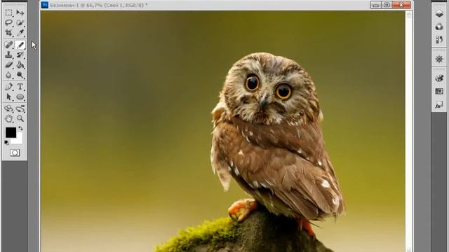 Знакомство с панелью инструментов программы Фотошоп смотреть онлайн