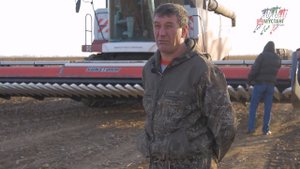 Nardi или Zaffrani. Ищем лучшую жатку для подсолнечника