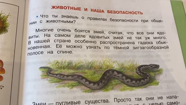 Окружающий мир/3/часть 2/А.А.Плешаков/Природа и наша безопасность/17.01.22