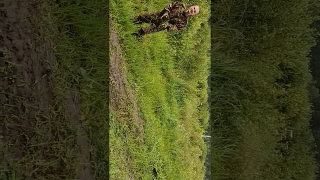 Засадил уаз по самую раму смотреть онлайн