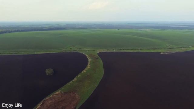 Healing music to relieve stress, fatigue and depression, release negative emotions#100 смотреть онлайн