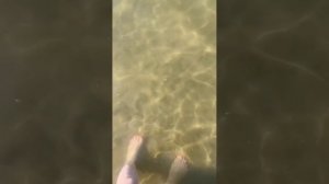 ГДЕ ЧИСТОЕ МОРЕ В ДЕРБЕНТЕ? Телеграм канал Nika_pro_Dagestan  Подпишись?